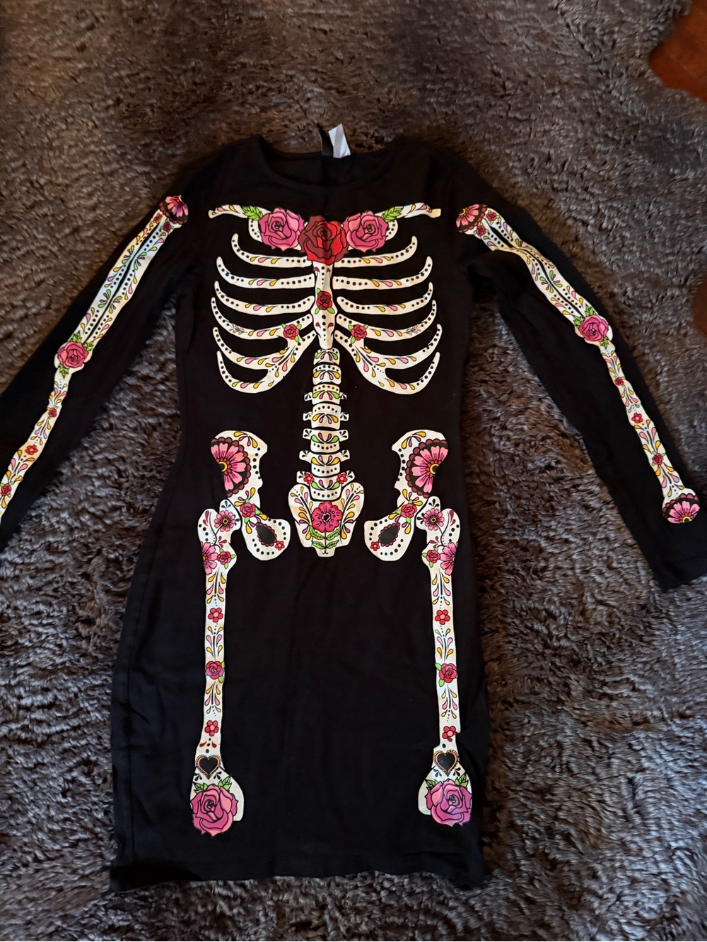 Day of the Dead Dress/Costume